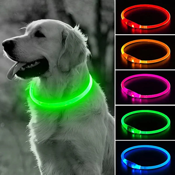 Luminous USB LED Dog Collar, Safety, dog collar, dog safety, luminous dog collar, luminous LED, luminous safety, Luminous USB LED Dog Collar, Pet, Pet Accessories, safety collar, Safety LED d