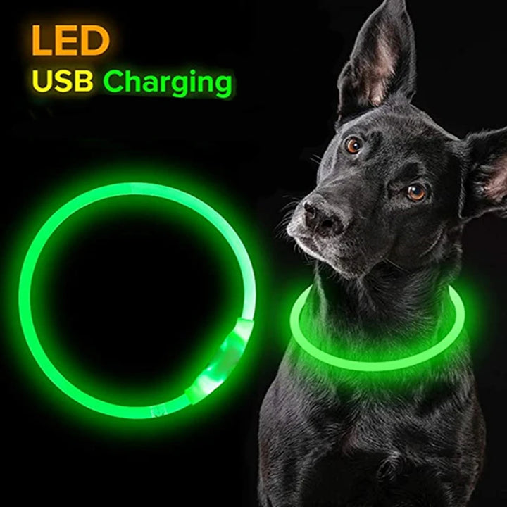 Luminous USB LED Dog Collar, Safety, dog collar, dog safety, luminous dog collar, luminous LED, luminous safety, Luminous USB LED Dog Collar, Pet, Pet Accessories, safety collar, Safety LED d